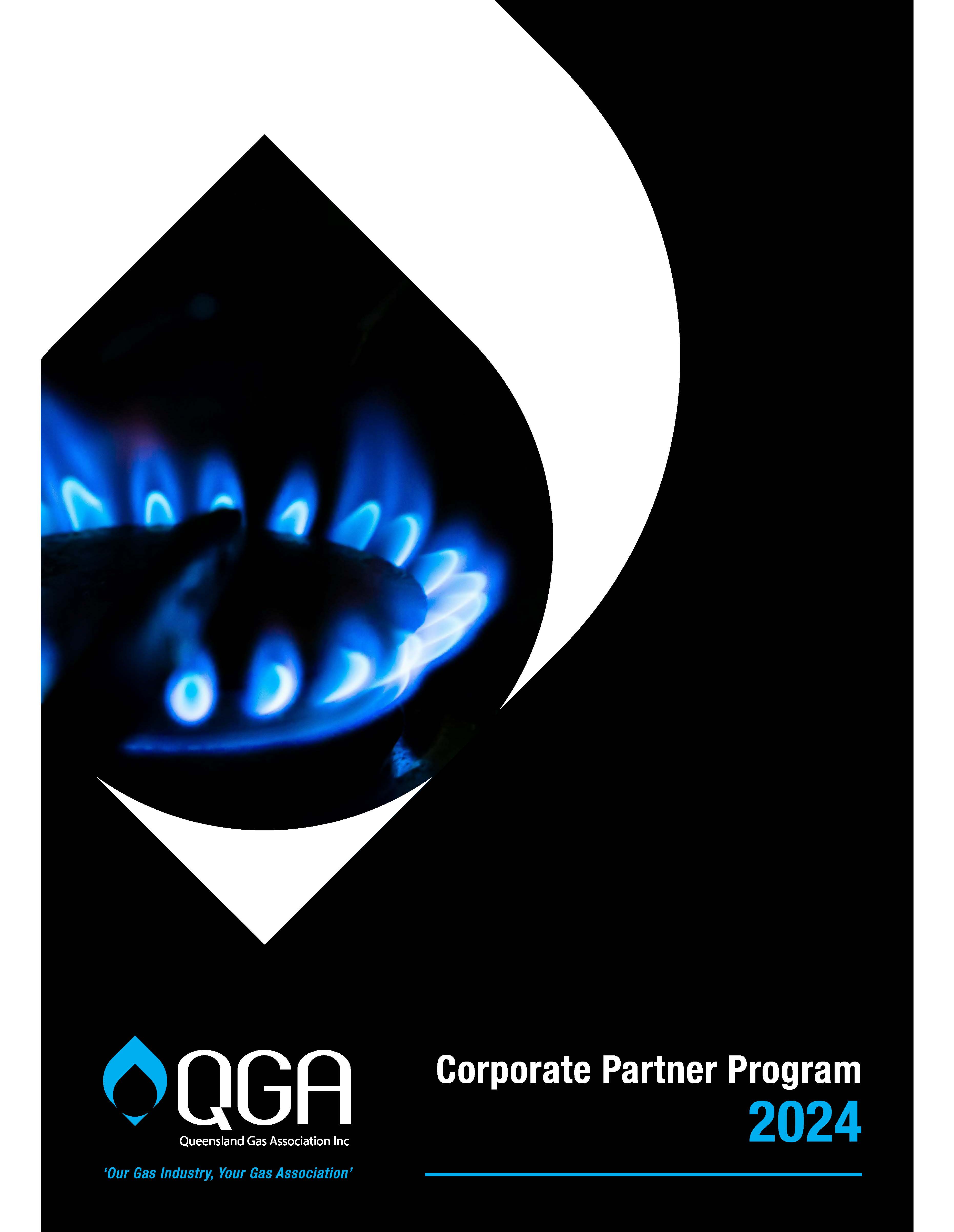 QGA Partner Program 2024 Launch!